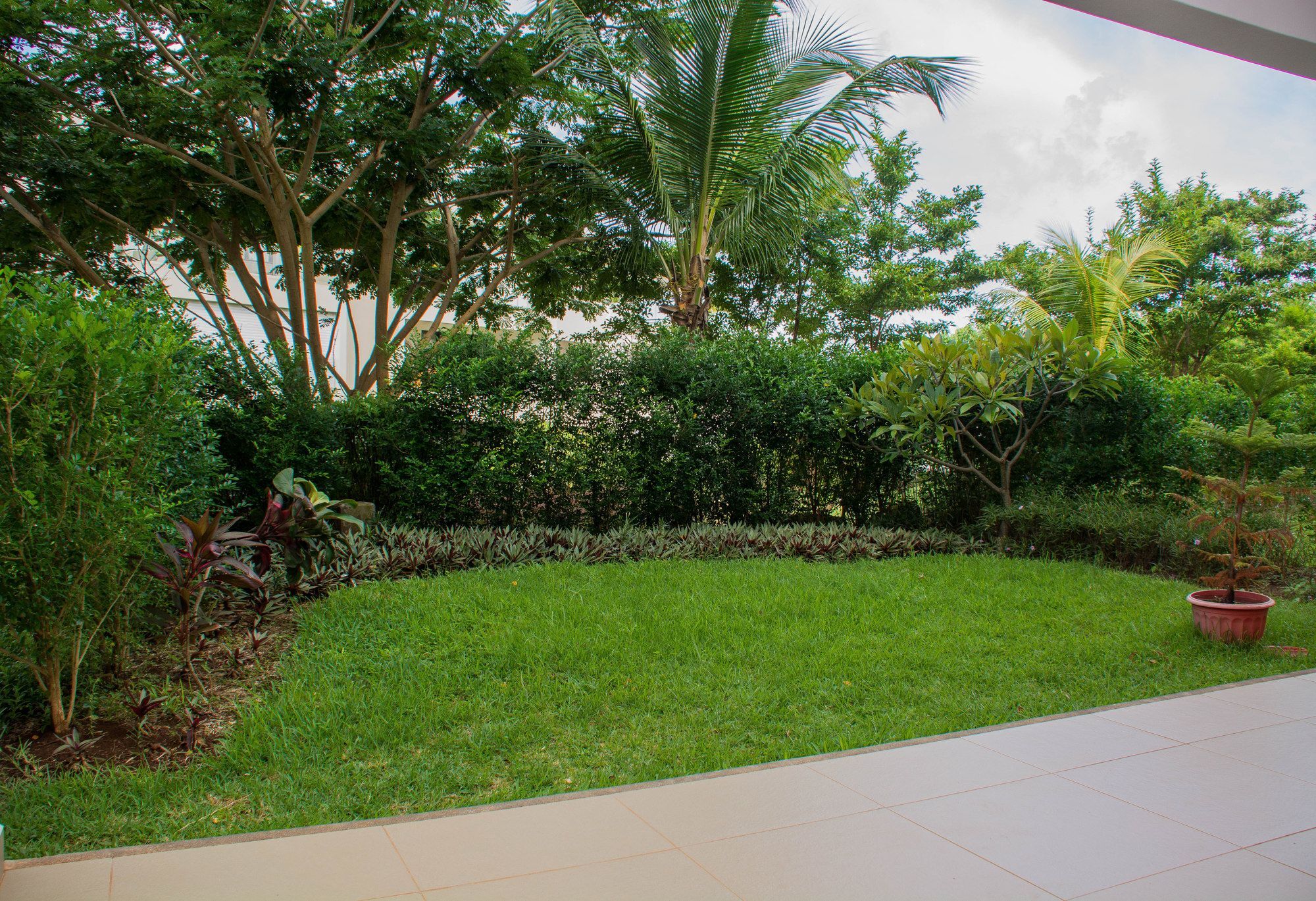 Apartment Azuri Roches Noires Exterior foto